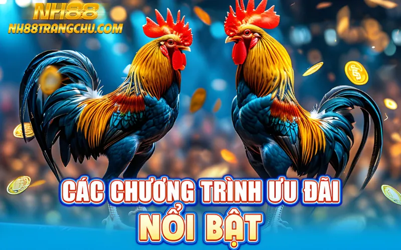 Các chương trình ưu đãi nổi bật – 100 % nạp đầu, hoàn tiền 1 %, VIP cashback"