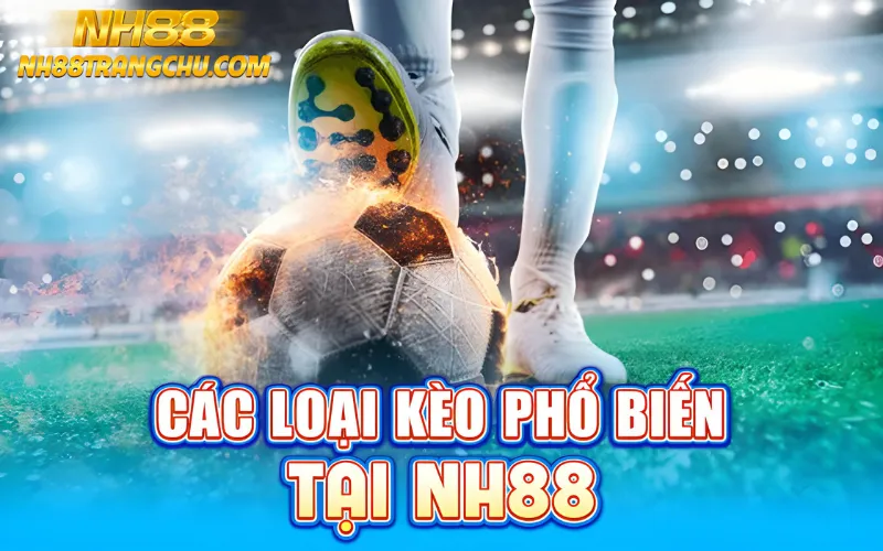 Các loại tỷ lệ kèo phổ biến tại NH88 – Handicap, 1x2, O/U, đặc biệt"