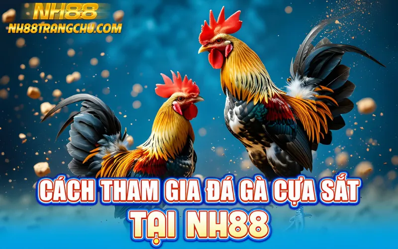 Các bước tham gia đá gà cựa sắt tại NH88 – đăng nhập, nạp, chọn trận, đặt cược"