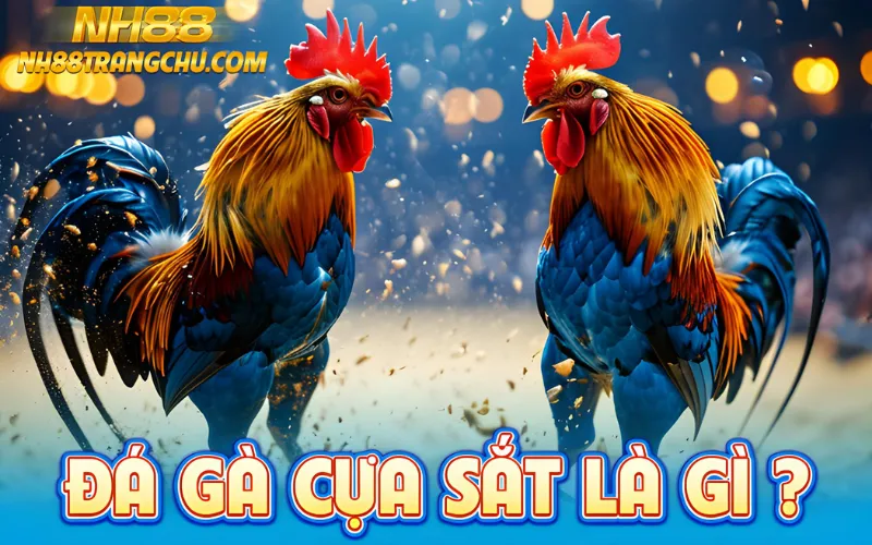 Đá gà cựa sắt nh88 là gì – hai chiến kê đeo cựa thép tung đòn