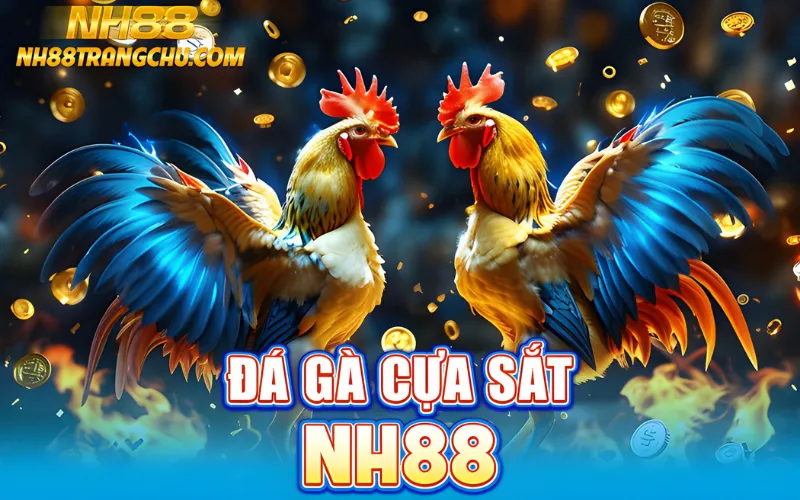 đá gà cựa sắt nh88