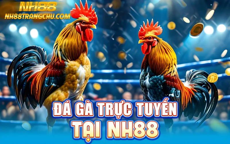 đá gà trực tuyến nh88
