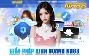 Giấy phép kinh doanh nh88