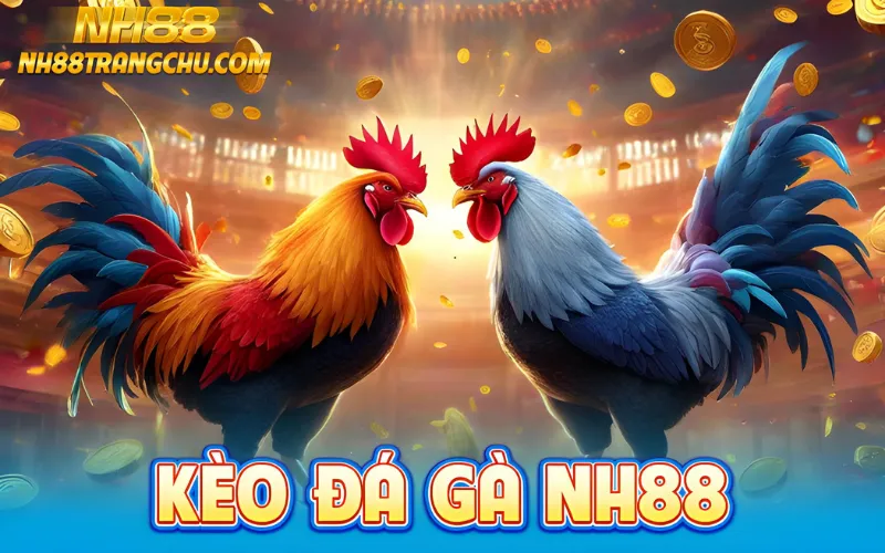 kèo đá gà nh88