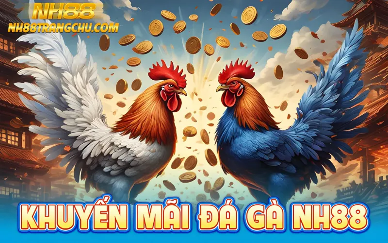 khuyến mãi đá gà nh88
