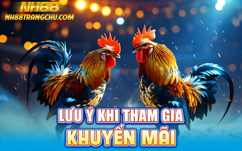 Lưu ý khi tham gia khuyến mãi đá gà NH88 – tránh lỗi rollover, nhập mã sai"