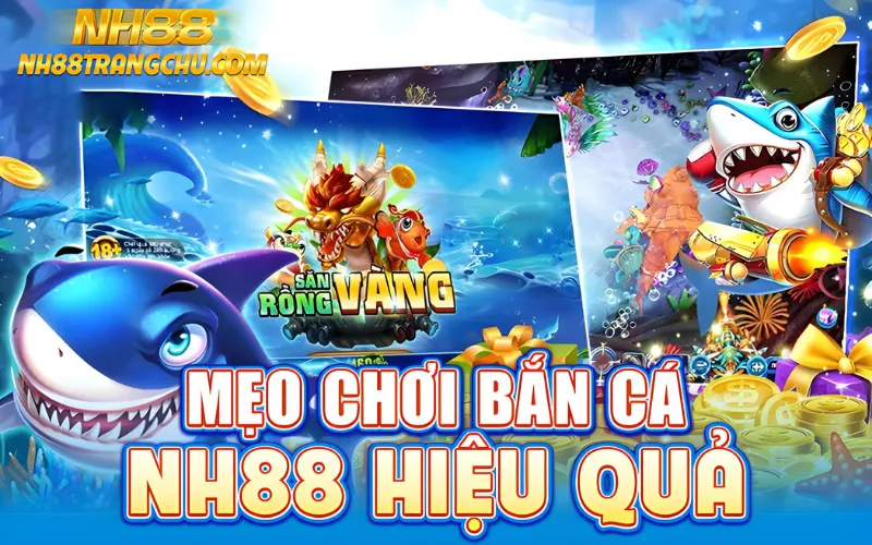 Mẹo chơi bắn cá NH88 hiệu quả – canh góc 45°, tích laser, đổi phòng ít người"