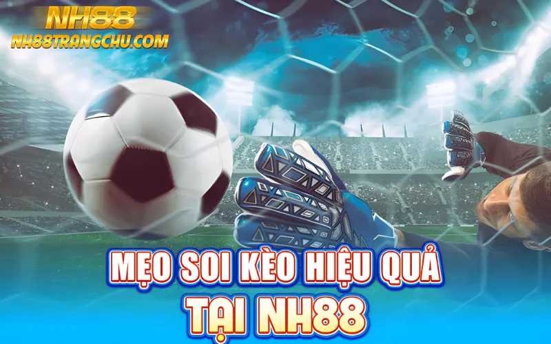 Mẹo soi kèo bóng đá hiệu quả tại NH88 – line-move, flat bet, xếp lịch