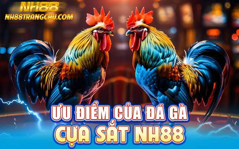 Ưu điểm của đá gà cựa sắt NH88: livestream 4K, auto-odds, rút 30 giây