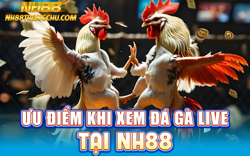 Ưu điểm khi xem đá gà live tại NH88: livestream 4K, auto-odds, rút nhanh