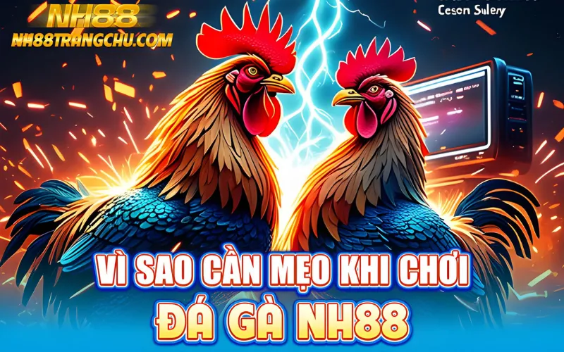 "Vì sao cần mẹo khi chơi đá gà NH88 – odds biến động, variance cao